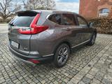 Honda CR-V 2.0 i-MMD Hybrid 2WD Elegance eCVT Elegance - Honda aus 2022
