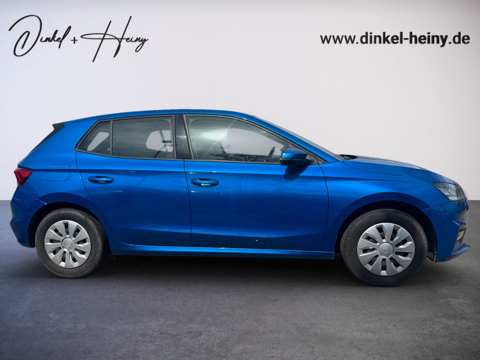Fahrzeugabbildung SKODA Fabia Ambition 1.0 TSI