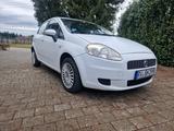 Fiat Grande Punto 1.4 8V Dynamic Dynamic - Fiat aus 2007