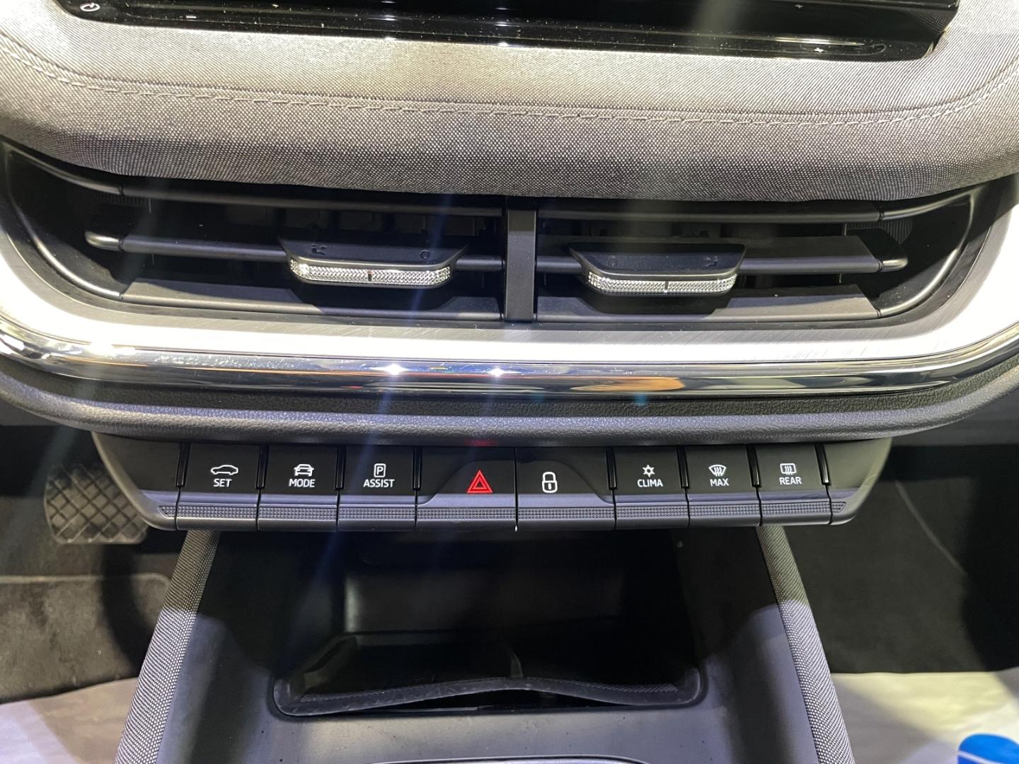 Skoda Enyaq 80 Loft Teilleder Navi LED ACC Rückfahrkam