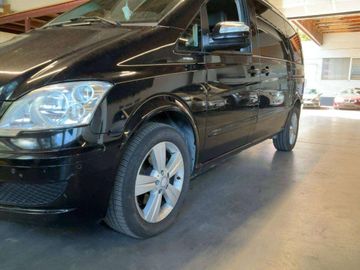 Mercedes Viano - 2