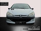 Peugeot 206 Grand Filou Cool - graue Peugeot 206