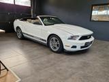 Ford Mustang*Klima*Temp*Radio*Leder* - gebrauchte Ford Mustang aus dem Jahr 2010