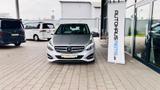 Mercedes-Benz B 250 4Matic, AHK, LED - Mercedes-Benz B 250: 4matic
