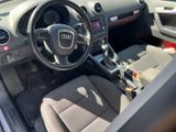 Audi A3 2.0 TDI (DPF) Ambition Sportback Ambition - Audi A3: Dpf
