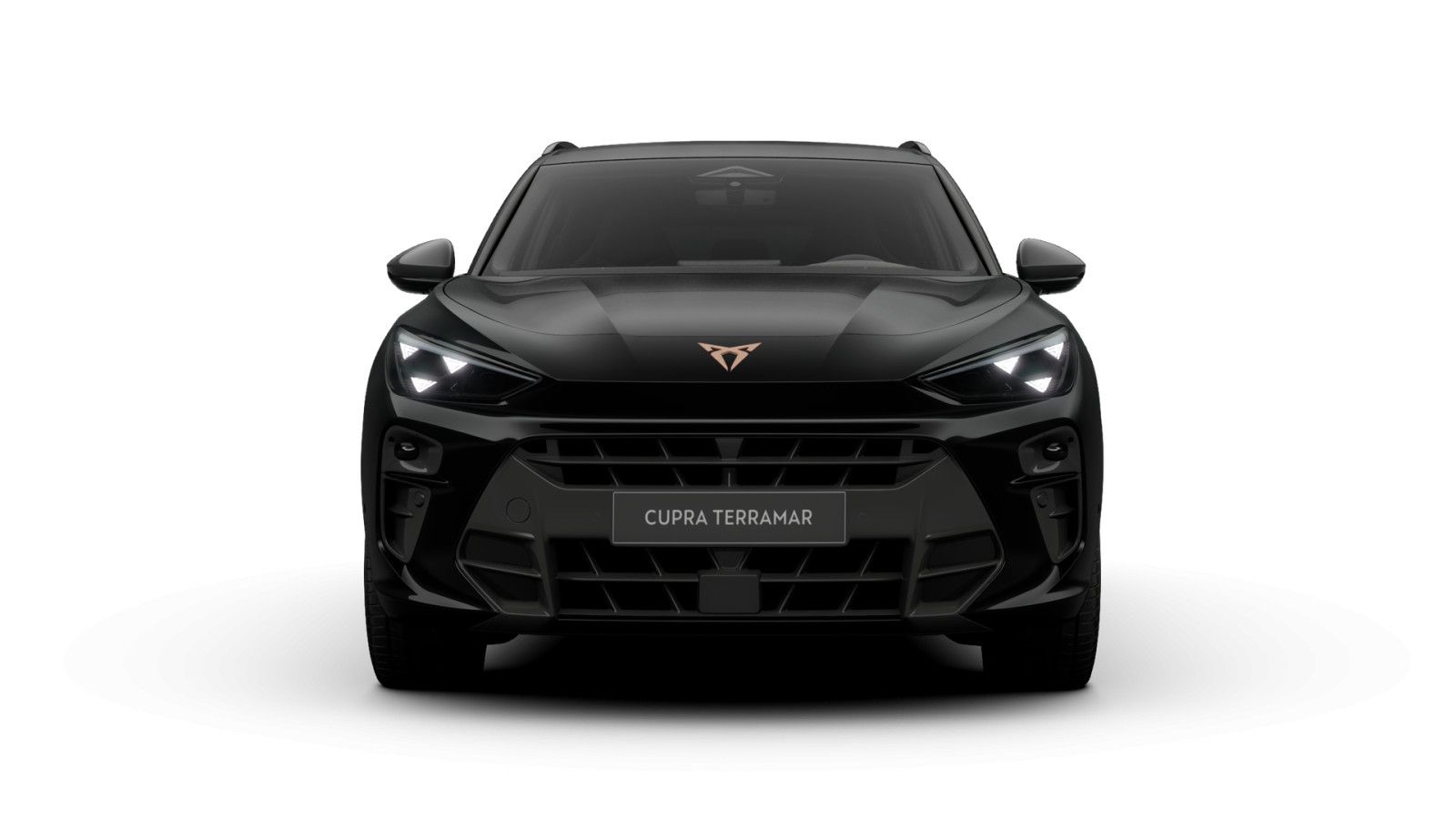 Cupra Terramar - Bild 3