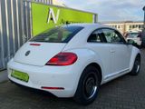 Volkswagen Beetle Design, LED, Xenon, PDC, Navi, BT - Volkswagen Beetle: Navigationssystem