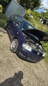 Volkswagen Polo 6N2 1.4 16V 101ps (kleiner GTI) Bastler - Volkswagen Polo: GTI 6n2