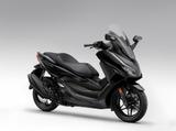 Honda Forza 350 inkl. TopCase - Neu - Finanzierung ab - HONDA FORZA 350