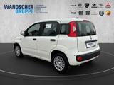 Fiat Panda MY25 Hybrid 1.0 GSE - Fiat Panda Gebrauchtwagen in Bremen