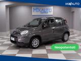 Fiat Panda 1.0 Firefly Hybrid 70CV 5 Portei - Fiat Panda Cabrio Gebrauchtwagen