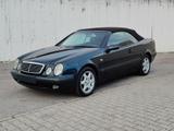 Mercedes-Benz Mercedes-benz CLK 320 cat Cabriolet Sport - gebrauchte Mercedes-Benz CLK-Klasse aus dem Jahr 1999
