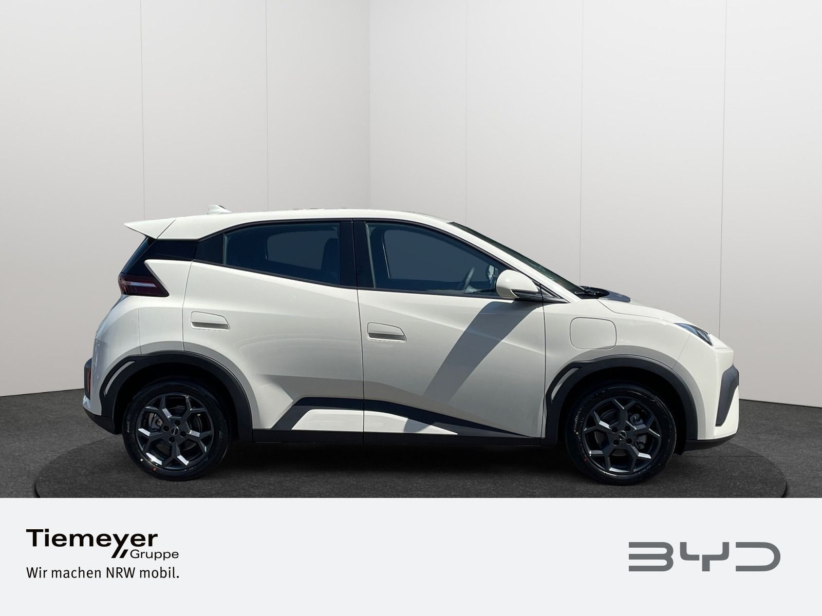 BYD DOLPHIN SURF