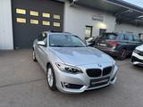 BMW 220i Coupe,Bi-Xenon,Schiebedach,Shz - BMW 220: Coupe