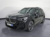BMW X1 sDrive20i M Sportpaket Head-Up AHK - BMW: M1