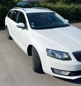 Skoda Octavia 1.6 TDI Active Combi - Skoda Octavia Active mit Diesel-Antrieb