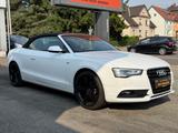 Audi A5 Cabriolet 1.8 TFSI S Line Navi - Audi A5: Weiß