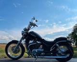 Suzuki Intruder VS 800 - Angebote