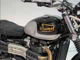 Triumph Scrambler 900 E5+ ICON EDITION *101KM NEUWERTIG - TRIUMPH ENDURO SCRAMBLER