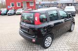 Fiat Panda Pop Klima 8 fach bereift - Fiat Panda: Pop