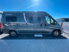 Pössl Roadstar 600 L | *Premium & Assistenz Paket*
