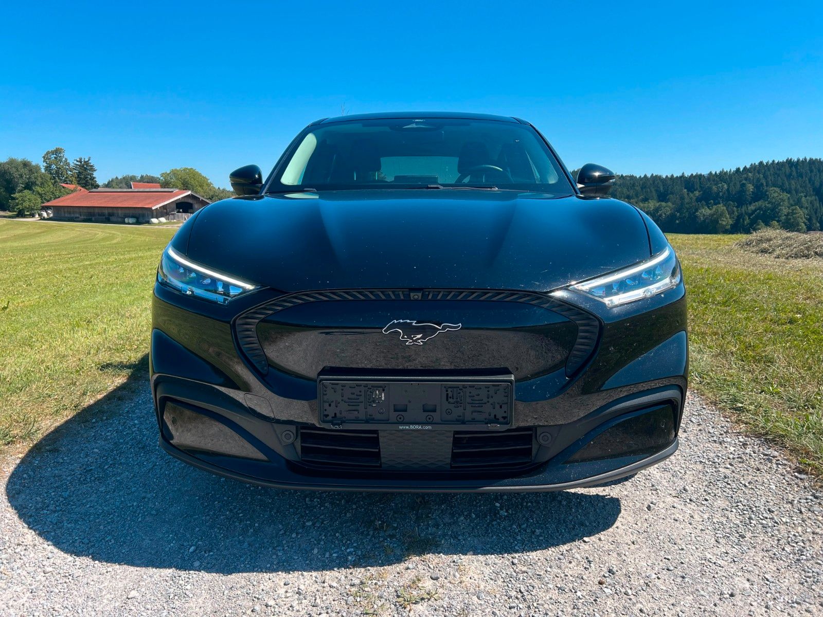 Ford Mustang Mach-E 99kwh SoH 91 %Bang Olufsen 8fach imagem 2