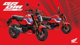 Honda MSX 125 Grom | ABS | Modell 2026 | - HONDA MSX