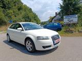 Audi A3 1.6 Attraction, TÜV04/27, SHZ, KLIMA, 176TKM - Audi A3 mit Benzin-Antrieb: 1.6