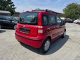 Fiat Panda 1.2 8V Dynamic / Klima / 1 Hand - gebrauchte Fiat Panda aus dem Jahr 2009