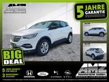 Opel Grandland 1.2 *AHK*Kamera*Navi*Sitzheizung*uvm - Opel Grandland (X) in Mannheim
