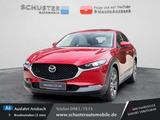 Mazda CX-30 Exclusive-Line Allrad Leder Schiebedach/Ma - Mazda CX-30 Exclusive-Line mit Hybrid-Antrieb (Benzin/Elektro)
