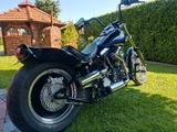 Harley-Davidson FXST, EVO, Softail - HARLEY-DAVIDSON 1996 SOFTAIL