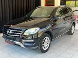Mercedes-Benz ML 350 CDI 4Matic BlueTec |NAVI|PDC|BI-XENON|d - Mercedes-Benz ML 350: Cdi 4matic
