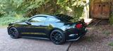 Ford Mustang 5.0, V8, Schaltgetriebe - Ford Mustang: 5.0
