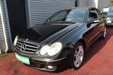 Mercedes-Benz CLK 200 CABRIO AVANTGARDE KLIMA NAVI LEDER PDC - Mercedes-Benz CLK 200 Gebrauchtwagen