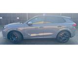 Cupra Terramar VZ 2.0 TSI DSG 4DRIVE /SENNH./MATRIX/PA - Cupra Terramar Tageszulassungen