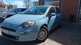 Fiat Punto 1.3 MJT II 75 CV 5 porte Street - Fiat Punto STREET mit Diesel-Antrieb