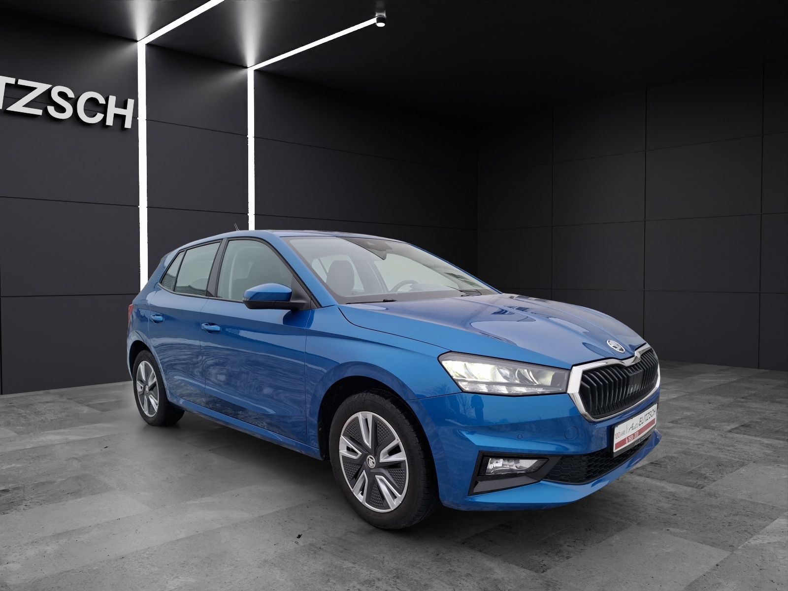 Fahrzeugabbildung SKODA Fabia TSI Ambition LED AID ACC PDC SH LM