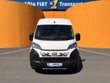 Fiat DUCATO KASTEN MAXI35 L4H2 180D AUTOMATIK MJ26 - Fiat Ducato: L4