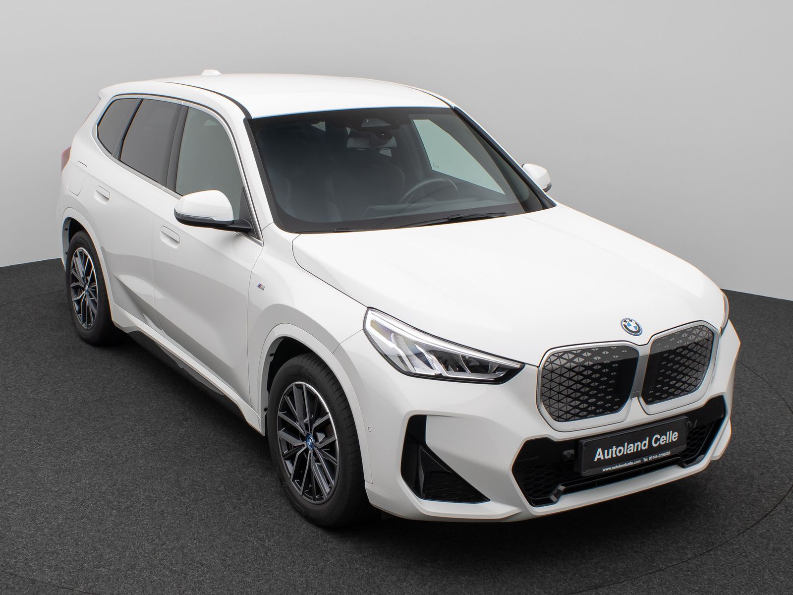 Fahrzeugabbildung BMW iX1 xD30  M Sport Kamera DAB Fernlichtassist AHK