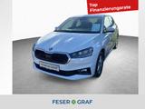 Skoda Fabia Style 1.0 TSI 6-Gang *NAVI*KLIMA - Skoda Fabia Gebrauchtwagen in Nürnberg