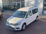 Volkswagen Caddy Maxi 1.Hand 4M DSG Xenon HU/AU Service neu - Volkswagen Caddy mit Diesel-Antrieb: Allradantrieb