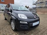 Fiat New Panda 1.2 8V/ 1 HAND/Garantie/Zahnriemen Neu - schwarze Fiat New Panda