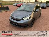 Honda Jazz 1.5 i-MMD Hybrid Executive LED|ACC|RFK|SHZ| - gebrauchte Honda Kleinbus