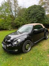 Volkswagen Beetle 1.4 TSI Design Cabriolet 1. Hand Carport - Volkswagen Beetle in Wuppertal