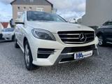 Mercedes-Benz ML 250 AMG Comand Pano Kamera AHK BiXenon - Mercedes-Benz ML-Klasse Gebrauchtwagen in Stuttgart