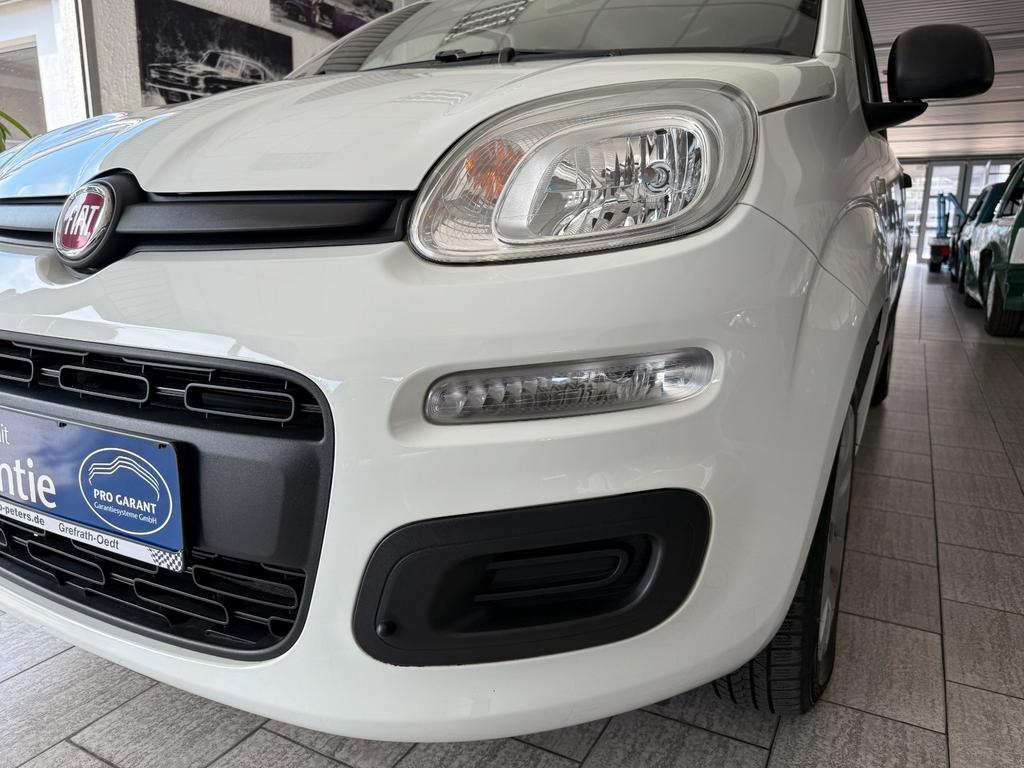 Fiat New Panda
