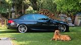 BMW E93 335i N54 DKG M Paket Tausch gegen ... - BMW: Gegen