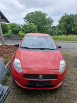 Fiat Punto zu verkaufen - Fiat Punto aus 2008