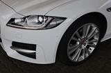 Jaguar XF - Jaguar XF: Weiß
